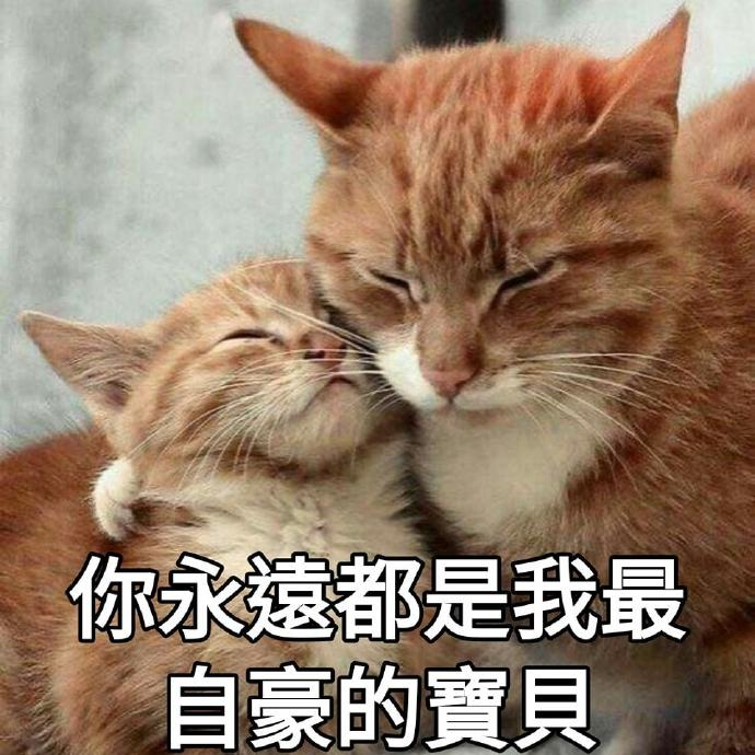 母亲节猫猫表情包