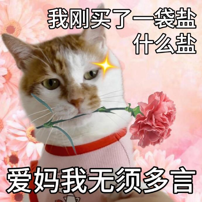 母亲节表情包 爱妈我无需多言!