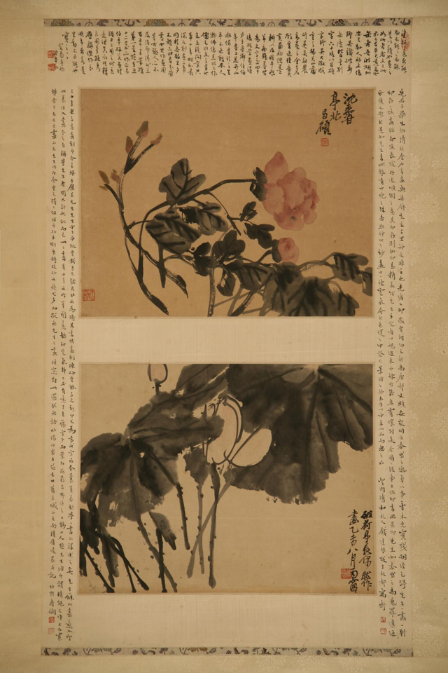 70余件组花鸟画名作一一亮相,其中不乏郑燮,吴昌硕,徐悲鸿,李因及