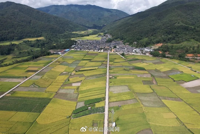 云南腾冲:绽放文明之花,收获善治之果|保山市|云南省