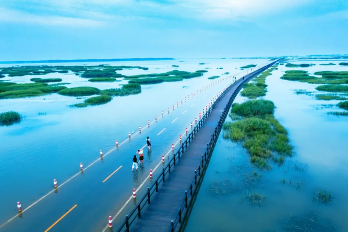 永修县妇女联合会,永修县农旅投资开发有限公司,吴城候鸟小镇景区
