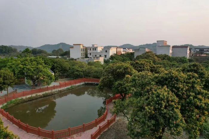 △官圩镇鸳鸯桂味荔枝种植园。图源 德庆发布