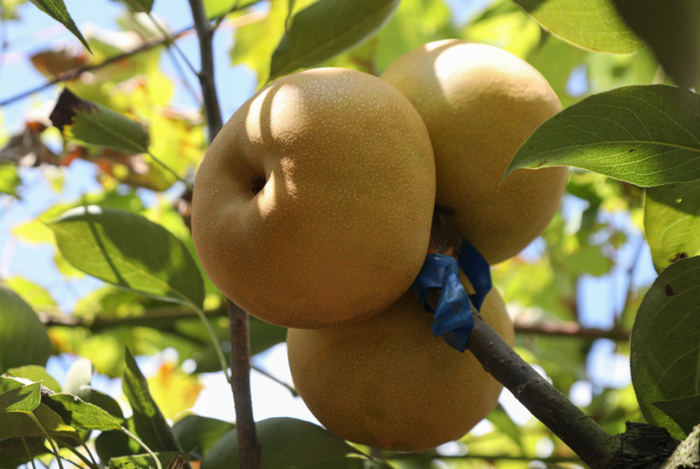 △图源 鼎湖发布