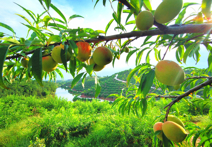 △图源 怀集发布