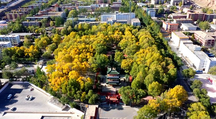 心有归处 甘肃玉门邀您"油"故乡