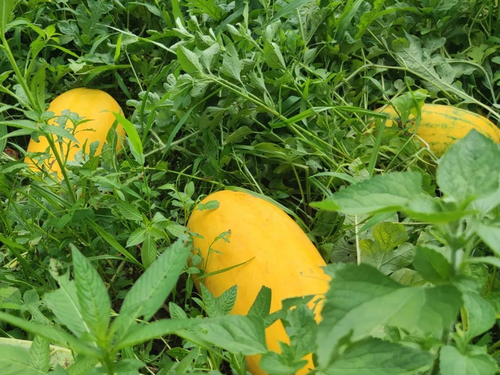 △图源 广宁发布