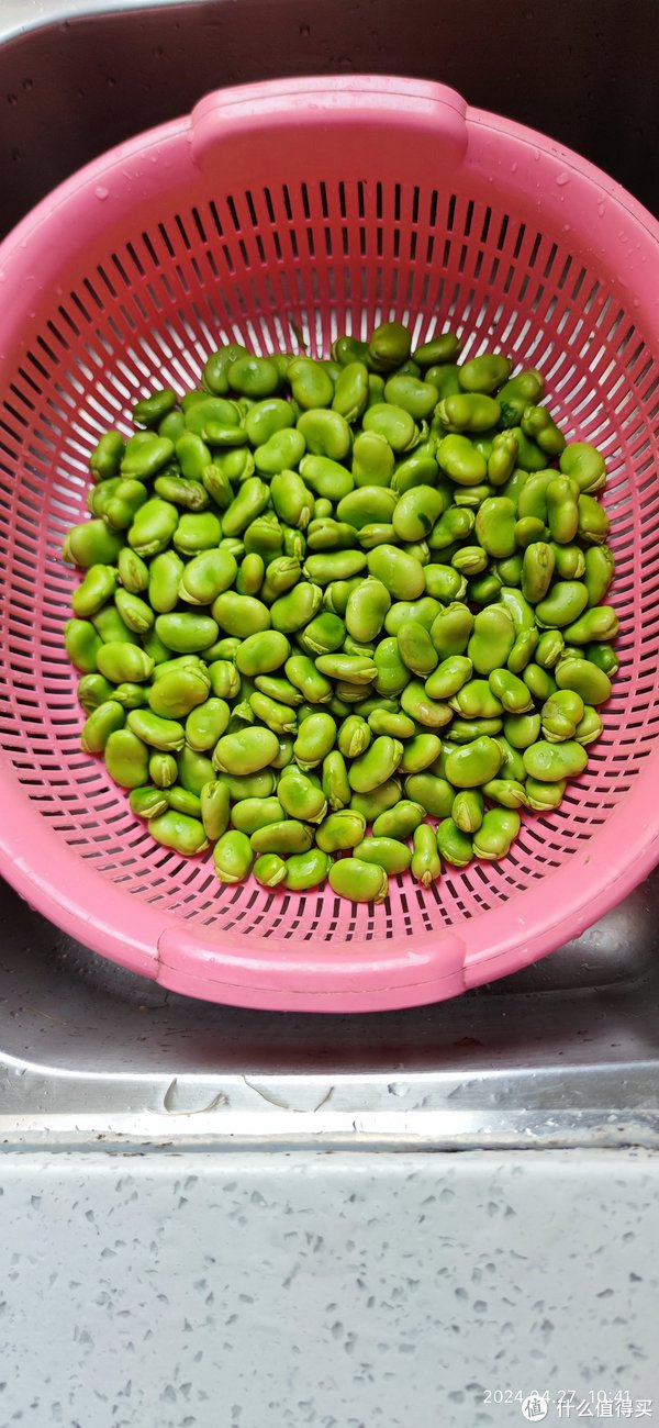 每天豆蚕豆自由的日子,真愉悦.