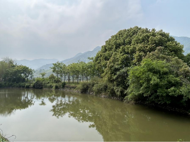 湖州味道|解开"金銮殿"之谜