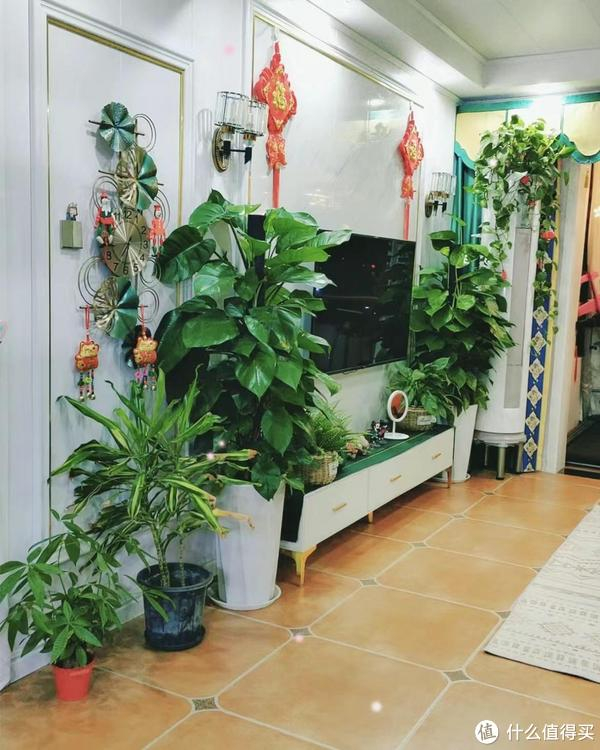 家里摆放绿植,尽量不要放在这"3方位",不是迷信,都有所依据