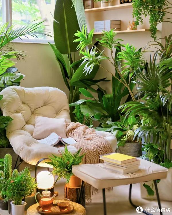 家里摆放绿植,尽量不要放在这"3方位",不是迷信,都有所依据