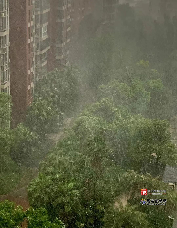 一秒天黑,狂风大作!福州发布预警!