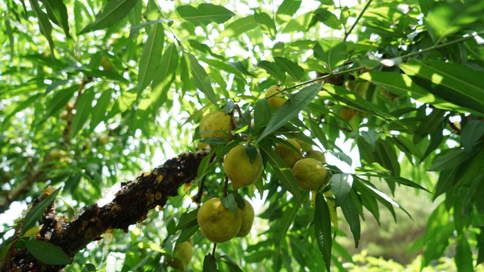 △图源 怀集发布