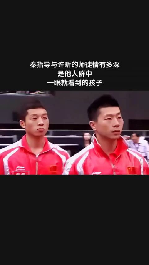 秦指导与许昕的师徒情有多深,是他人群中,一眼就看到的孩子