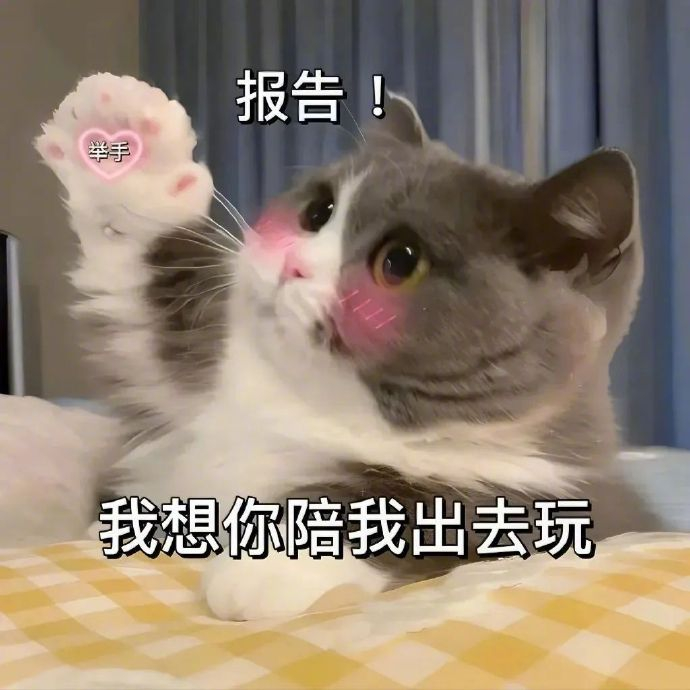 更多表情包请来我主页!很难有动力发图了拿图请顺便吱一声