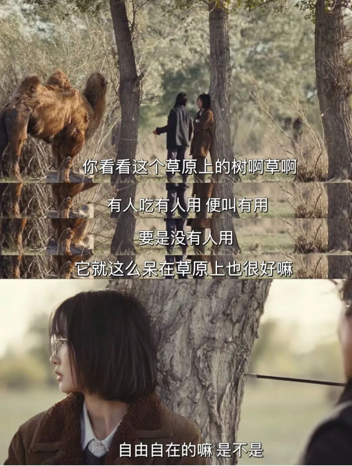 此刻,想去阿勒泰的心谁懂?