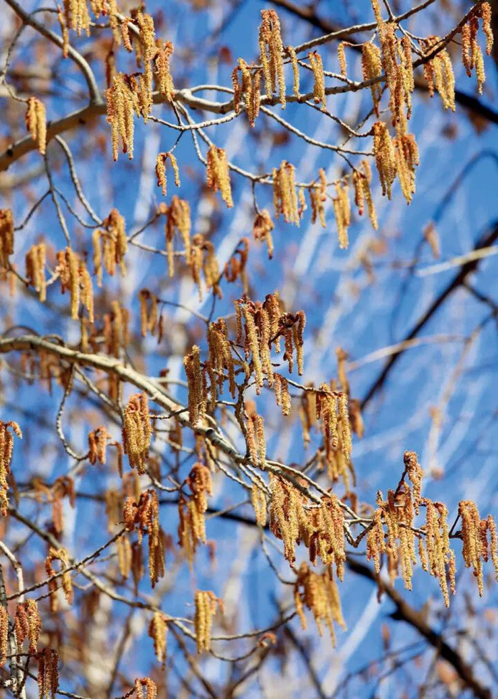 五月去班味指南:北广深哪个公园最好逛?