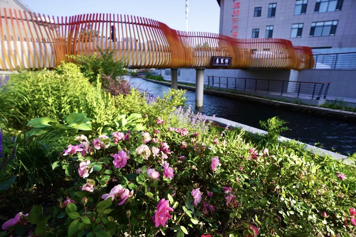 北京东五环将展开江南水乡图!通惠渠未来可泛舟赏景