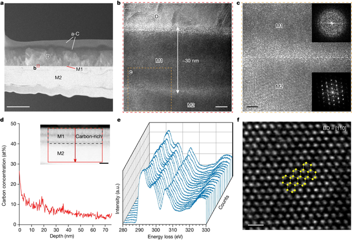（来源：Nature）