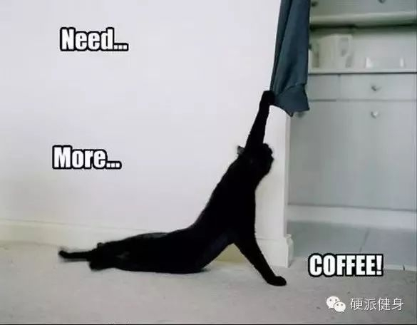 最好的增肌,减脂补剂,使用却有技巧.