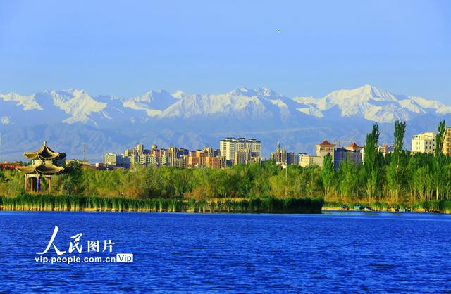 甘肃张掖:初夏湿地景色美