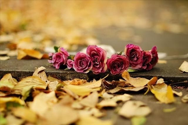 即便人微言轻不能被看到我们的价值与能力,却也一定不是任人宰割的