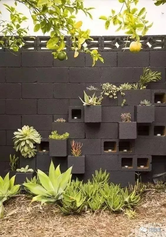 庭院景墙布置的好,你的花园立马提升一个档次!