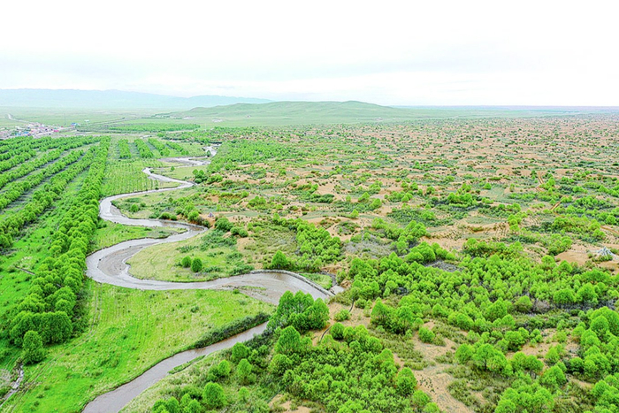 记者 洪玉杰 摄海南藏族自治州共和县沙珠玉乡,在青海防沙治沙"史册"