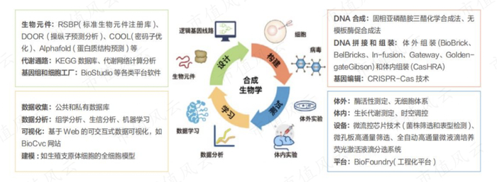 （来源：川宁生物2023年年报）