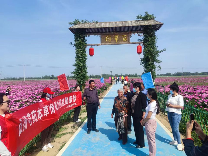 阳信县洋湖乡科协开展"弘扬芍药本草情 助力科技健康梦"活动