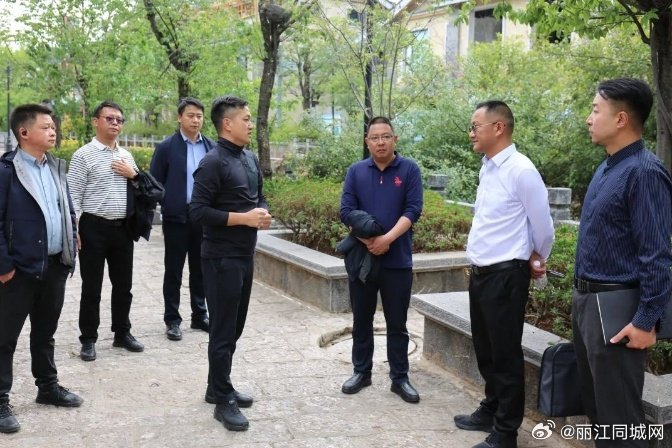 副区长杨少林,区政府办,区文旅局,区商务局,区投控集团,古城博物院