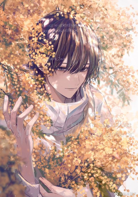 日漫画风的美男!好爱 twi:aohi_2wa