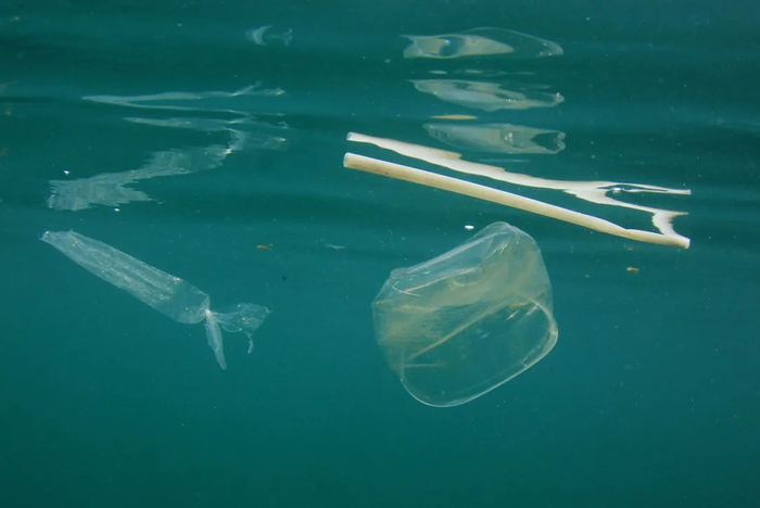 图库版权图片，转载使用可能引发版权纠纷