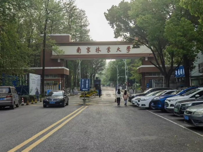 南京林业大学青年教师自杀,校方否认"非升即走"