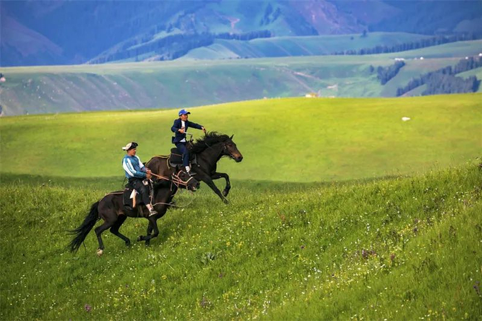 线条的分割进一步增加空间层次效果,渲染出草原的辽阔意境,而骑马少年