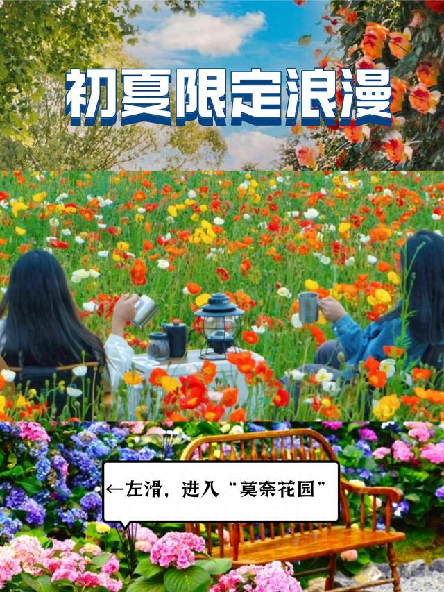 北京花卉大观园烟花图片