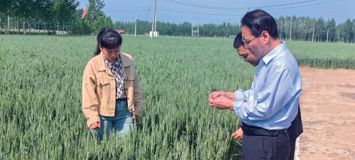 　　图为禹城市科技服务小分队现场指导复合种植前造墒灭茬准备工作。　梁文忠　摄