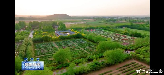 大荔沙苑牡丹园姹紫嫣红 带你走进夏日童话世界