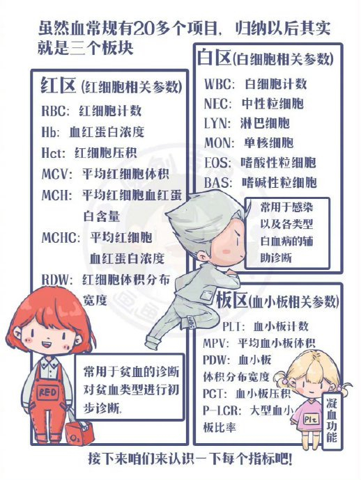 一分钟读懂血常规的24个指标