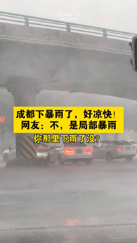 成都局部暴雨下在哪儿了