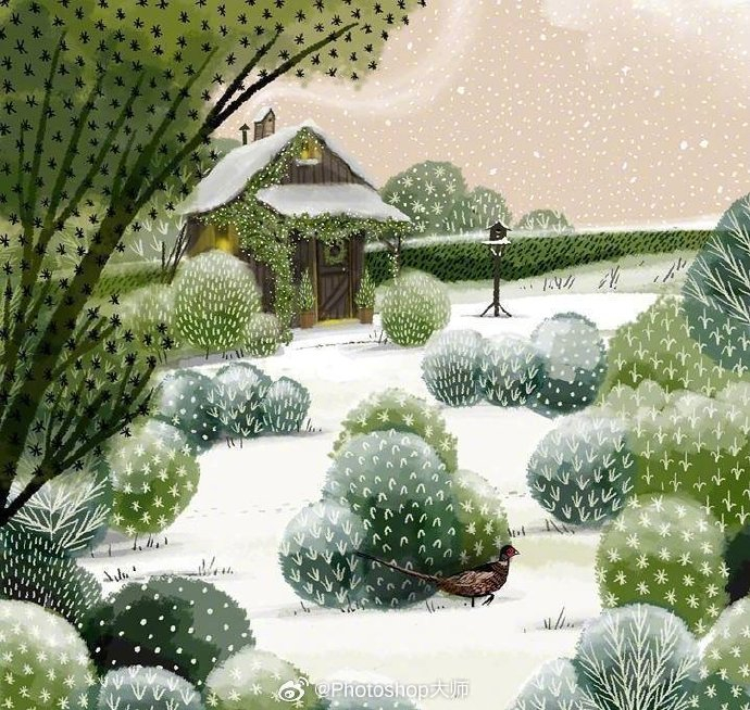 治愈森系插画 | 96jane newland