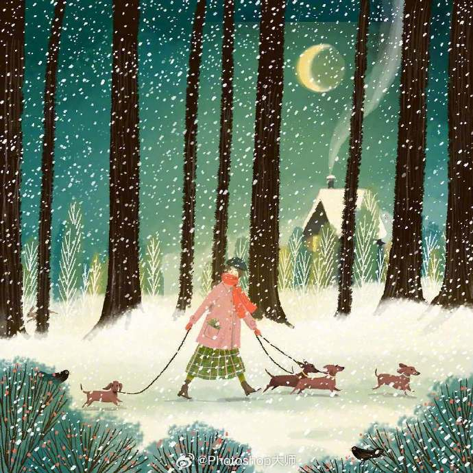 治愈森系插画 | 96jane newland