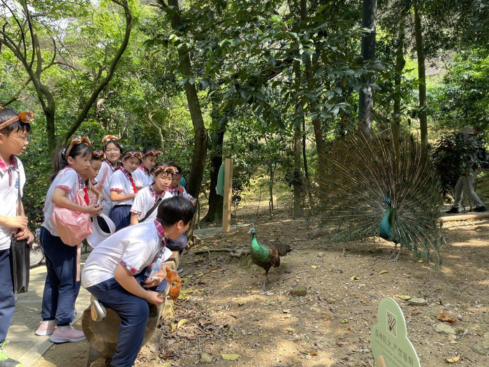 寻觅美羽,摄说白云,白云山鸣春谷与校园共建科普活动成功