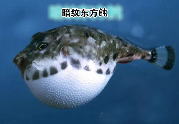 图源：深圳卫健委