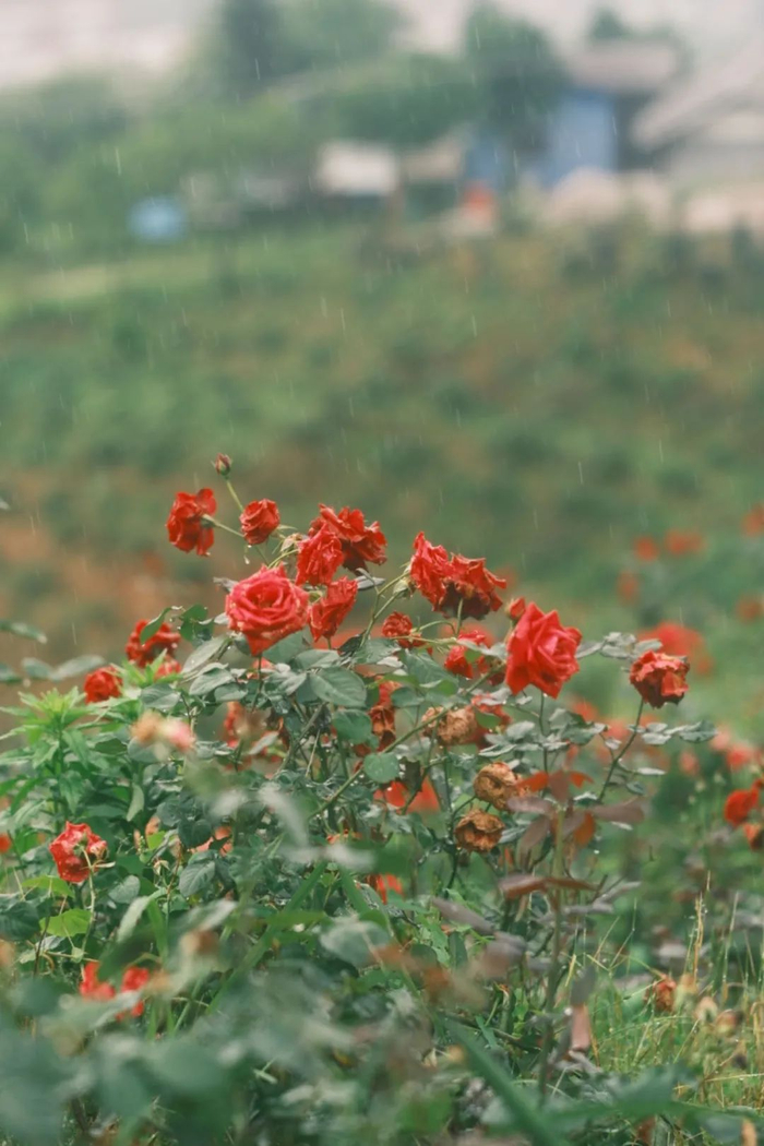 这个宝里宝气的千年古城,被严重低估了