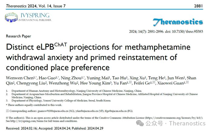 Theranostics：关晓伟/葛菲菲/范宇团队揭示甲基苯丙胺戒断焦虑及复燃的新机制__财经头条