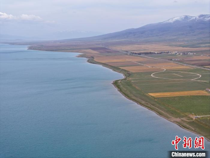 青海湖畔静谧柔美 游客与水鸟互动|二郎剑|青海湖|共和县_新浪新闻