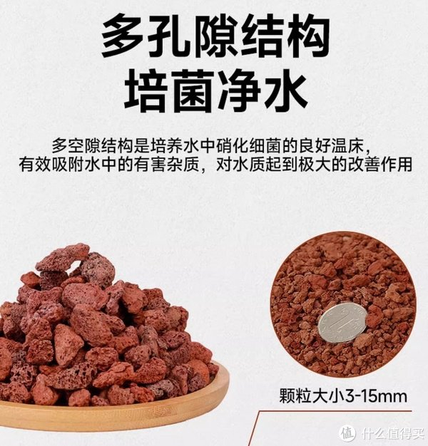 鱼缸基础设施做好,选择火山石