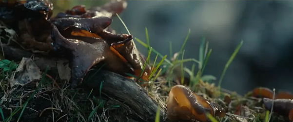 （图/《我的阿勒泰》）