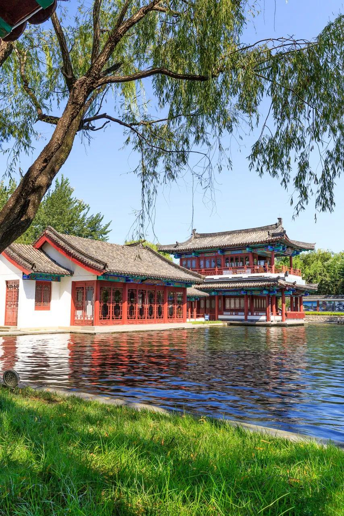 中国唯一泡在泉水里的城市,拒绝内卷,安逸享乐,超适