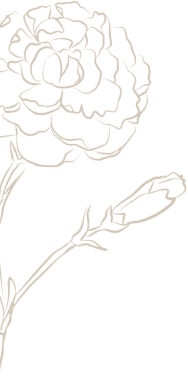 从桃之夭夭到青青子衿,那些藏在《诗经》里的绝美中国色